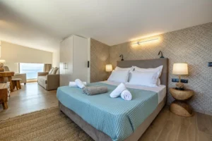 Standard Villa - Infinity Villa (33)